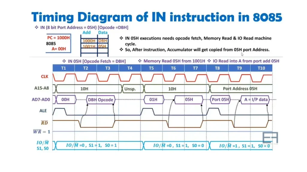 Timing Diagram of IN Instruction
