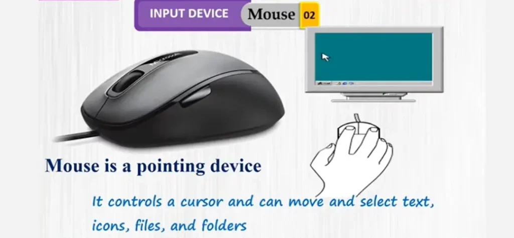 Computer-Mouse